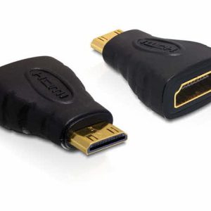 HDMI Adapter Delock A -> mini C Bu/St