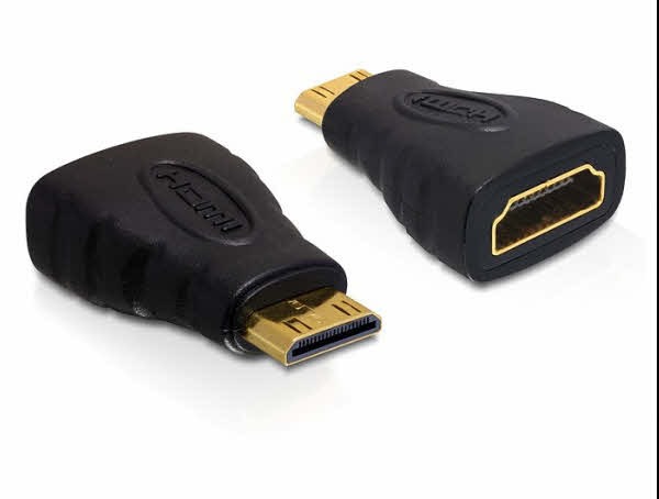 HDMI Adapter Delock A -> mini C Bu/St